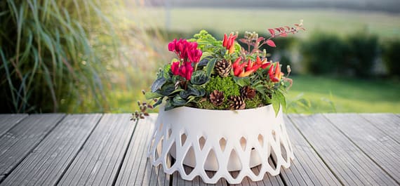 kwiat-biala-doniczka