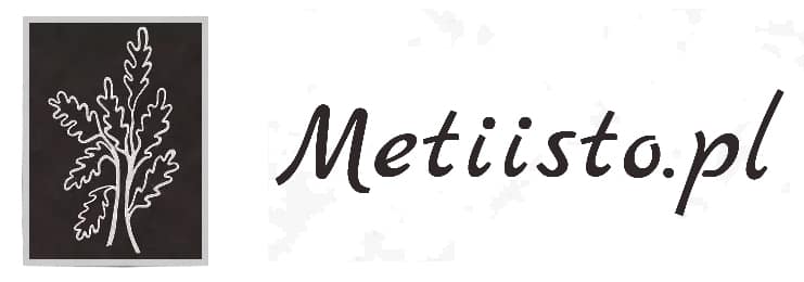 metiisto logo